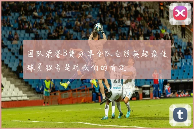 团队荣誉B费分享全队合照英超最佳球员称号是对我们的肯定