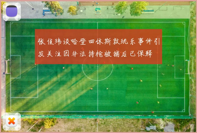 张佳玮谈哈登回休斯敦玩乐事件引发关注因非法持枪被捕后已保释